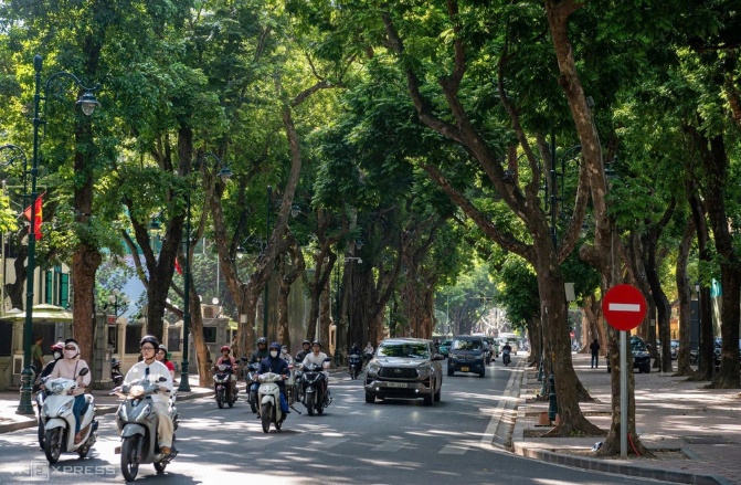 Mỗi tuyến phố Hà Nội sẽ có một loài cây đặc trưng