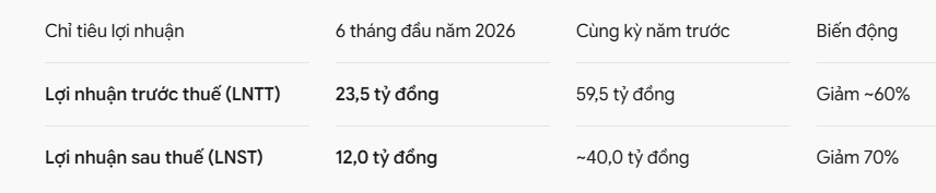 Giữa lúc nợ gần 9.000 tỷ, công ty con Novaland có động thái mới