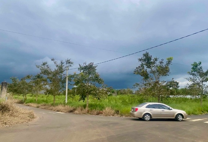 Đất nền Lâm Đồng 'ngược dòng' thị trường bất động sản