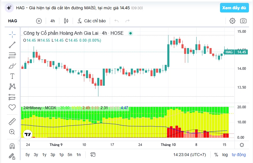 Bầu Đức 5 lần xuống tiền bắt đáy HAG, giờ lãi hay lỗ