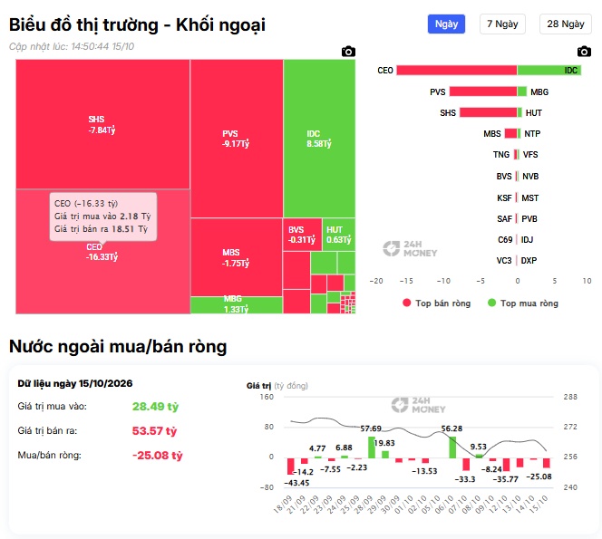 Nhà đầu tư ngoại đang làm gì với VIC, STB?