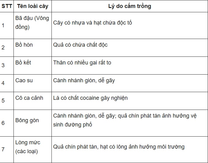 Hà Nội ban hành danh mục 18 loài cây cấm trồng