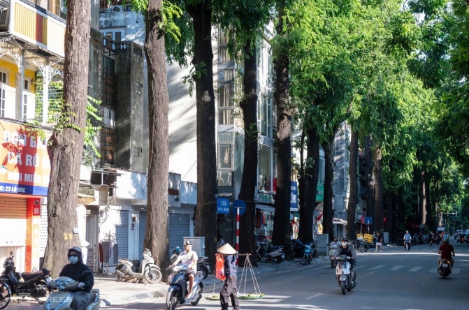 Hà Nội quy hoạch cây xanh trên các tuyến phố chính thế nào?