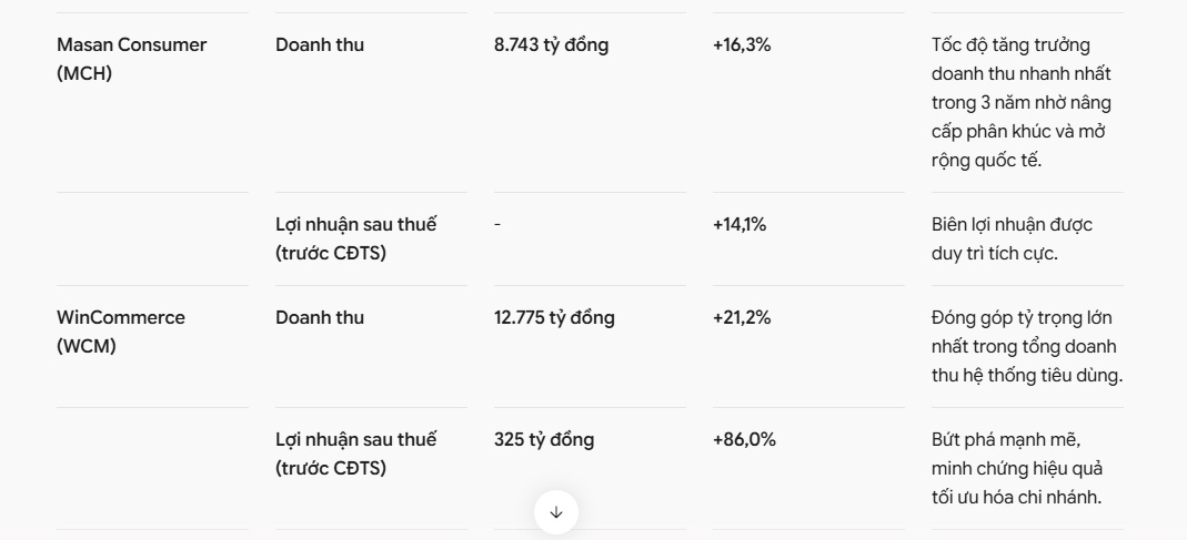 MSN báo lãi khủng sau 9 tháng, điều gì đang xảy ra?