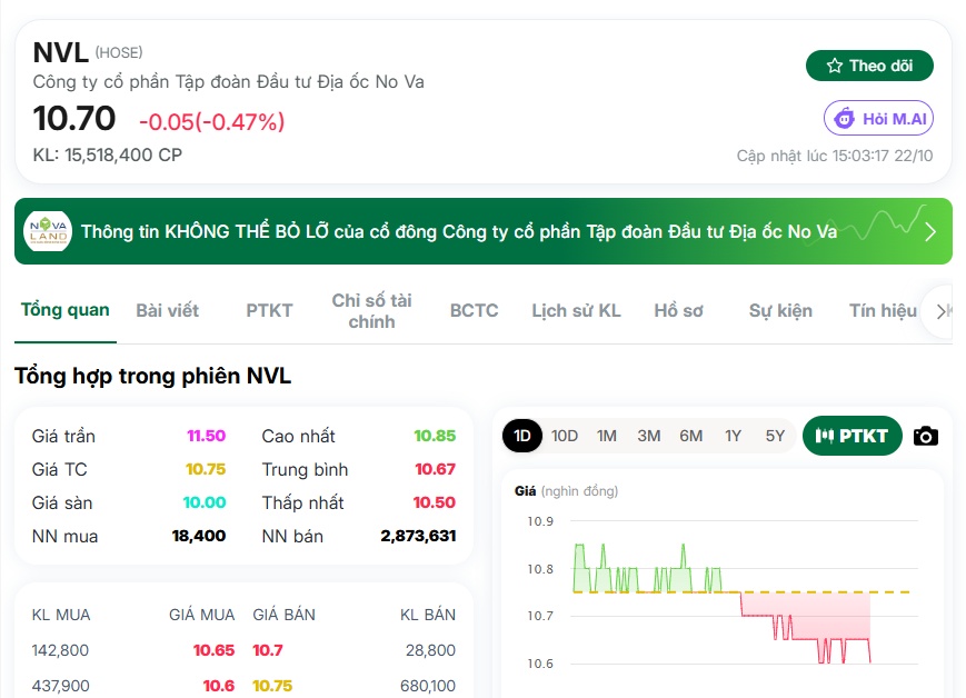 Lợi nhuận khởi sắc, vì sao NVL vẫn chịu áp lực tài chính