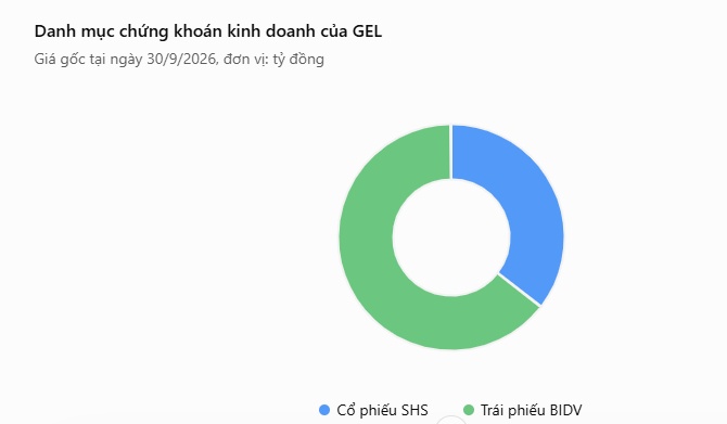 Bí ẩn danh mục chứng khoán 524 tỷ đồng của GEL