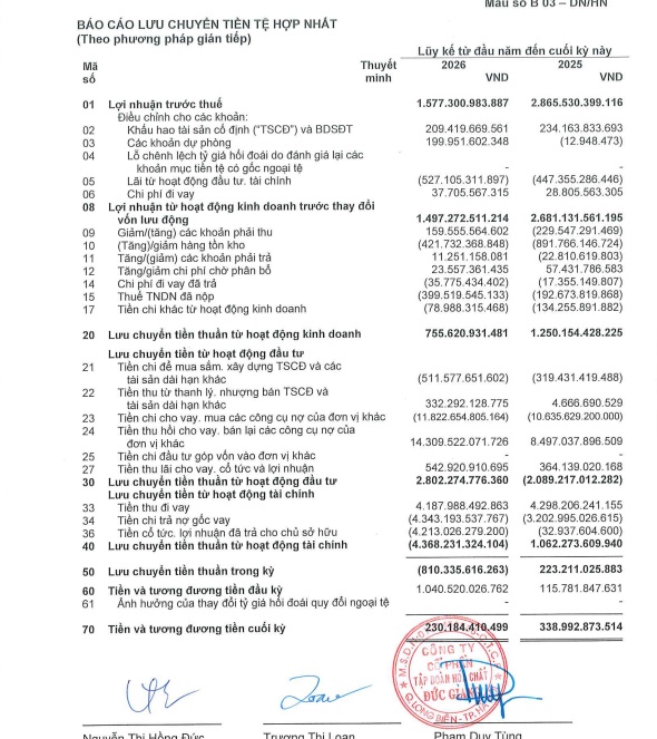 Điều gì khiến lợi nhuận DGC giảm mạnh?
