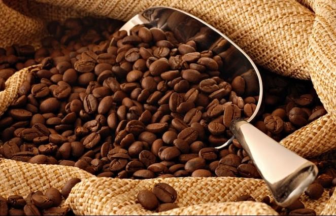 Tây Nguyên: Cà phê hạ giá, nông dân điêu đứng