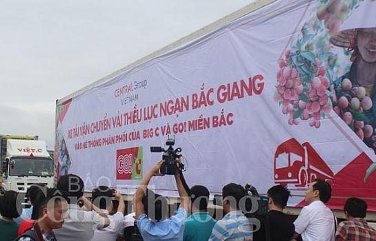 Năm 2019: Central Group Việt Nam sẽ tiêu thụ khoảng 350 tấn vải thiều Lục Ngạn   Bắc Giang