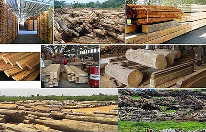 Đề xuất quy định Hệ thống bảo đảm gỗ hợp pháp Việt Nam