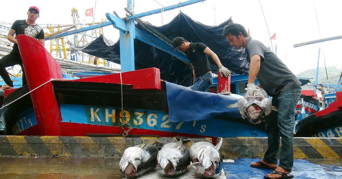Gỡ 'thẻ vàng' cho ngành thủy sản: Còn vi phạm có thể tịch thu tàu?