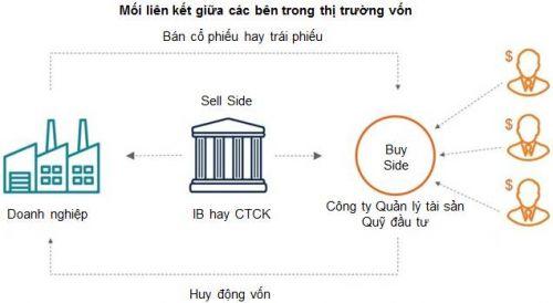 Hoạt động IR và thị trường vốn
