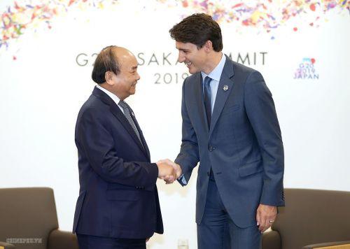 Chùm ảnh: Thủ tướng gặp các nhà lãnh đạo dự Hội nghị G20