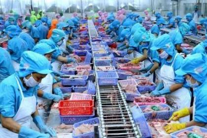 EVFTA - Bài 4: Cơ hội lớn cho ngành thủy sản bứt phá