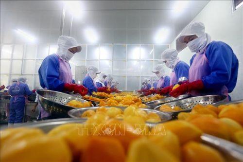 EVFTA: 'Cánh cửa tiêu chuẩn' đối với nông sản Việt