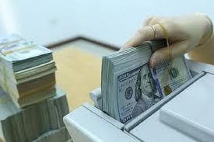 Giá vàng, USD đồng loạt lao đốc