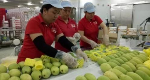 Việt Nam xuất siêu sang 5 thị trường trong khối CPTPP