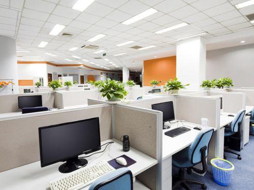 “Mẹo” thiết kế nội thất văn phòng với màu sắc tươi sáng
