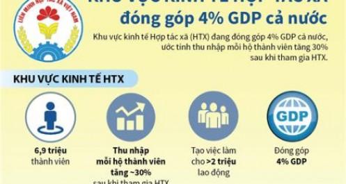 [Infographic] Khu vực kinh tế hợp tác xã đóng góp 4% GDP cả nước