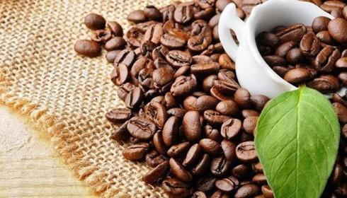 Kim ngạch xuất khẩu cà phê giảm gần 20%