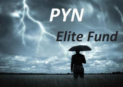 Quỹ ngoại PYN Elite vẫn lãi khi thị trường biến động “hình sin”