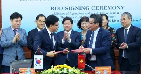 Hàn Quốc hỗ trợ 4,5 triệu USD nâng chất gạo ở Đồng bằng sông Hồng