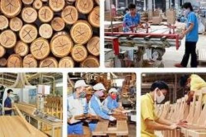 EVFTA và cơ hội cho ngành gỗ Việt