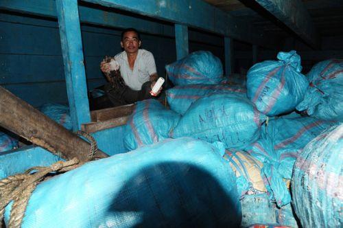 Gần 1.000 tấn mực khô ứ đọng ở Quảng Nam đã bán hết