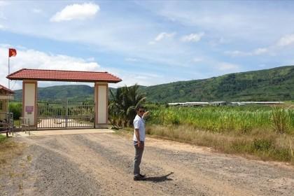 Đắk Lắk: Đại dự án nuôi bò “xí" đất dân để xây dựng trái phép
