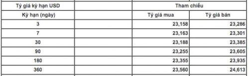 Sau quãng điều chỉnh dài, ngân hàng trở lại tăng giá USD