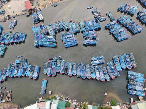 Khắc phục "thẻ vàng" IUU để nghề cá Việt Nam tiếp cận EVFTA