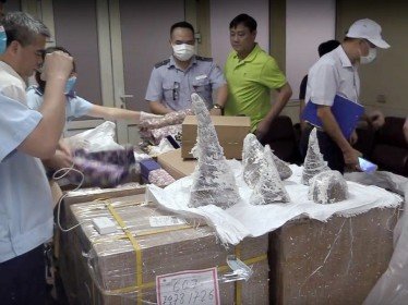 55 khúc sừng tê giác ngụy trang trong thạch cao về sân bay Nội Bài