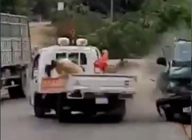 Lái xe chở gỗ đâm vào xe cảnh sát giao thông dương tính với ma túy