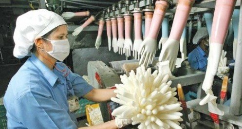 Nhà sản xuất găng tay lớn nhất thế giới đến Việt Nam, doanh nghiệp nội bắt đầu lo ngại