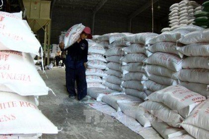 Giá gạo Việt Nam giảm vì lo ngại Philippines hạn chế nhập khẩu