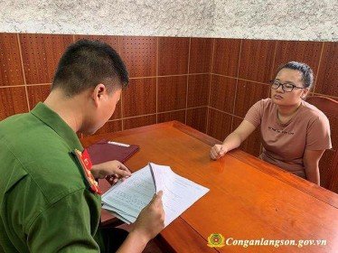 Lạng Sơn: Tạm giữ “nữ quái” nghi thuê hàng chục xe ô tô tự lái rồi mang đi bán