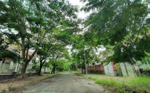 Đồng Nai: La liệt chung cư, biệt thự bỏ hoang ở Nhơn Trạch