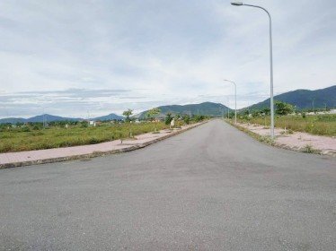 Hà Tĩnh: 5 lần đấu giá bất thành, dự án đô thị hàng trăm tỷ đồng thành nơi thả bò