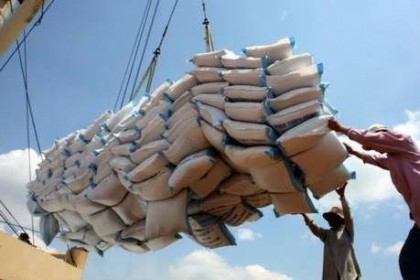 Giá trị xuất khẩu gạo giảm mạnh