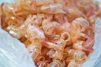 Doanh nghiệp Nhật xây nhà máy chế biến vỏ tôm thành nguyên liệu thực phẩm
