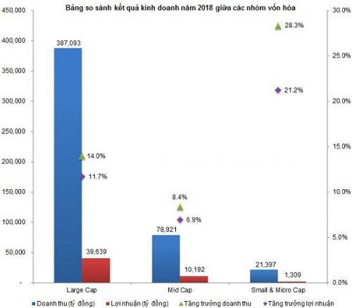 Doanh nghiệp vốn hóa lớn tiếp tục mang lại nhiều lợi nhuận nhất