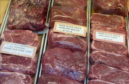 Các nhà sản xuất thịt bò Mỹ muốn 'thâm nhập' thị trường Trung Quốc