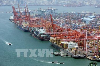 Xuất khẩu của Hàn Quốc sang Nhật Bản vẫn tăng 14,2%