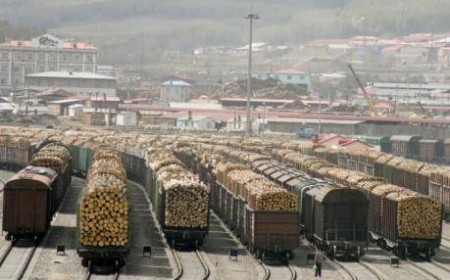 Nga có thể cấm xuất khẩu gỗ sang Trung Quốc