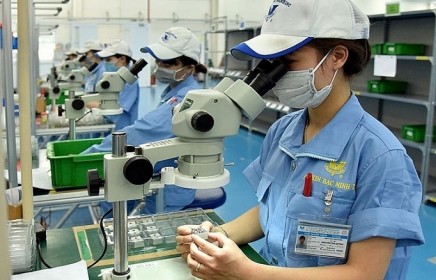 Dự thảo Thông tư Made in Vietnam: Bảo vệ quyền lợi chính đáng của người tiêu dùng, doanh nghiệp
