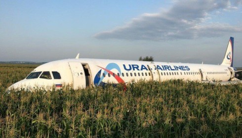 Máy bay Nga hạ cánh khẩn cấp trên ruộng ngô, 233 người thoát chết