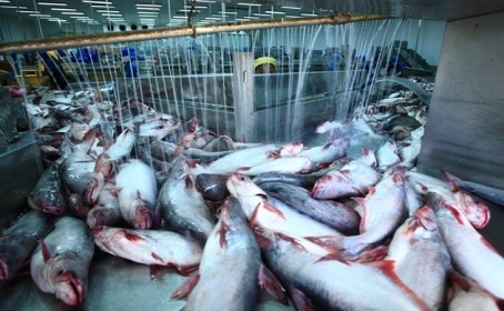 Mục tiêu xuất khẩu thuỷ sản 10 tỷ USD đang gặp khó?