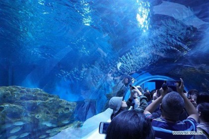 Công viên thủy cung cao nhất thế giới ở Trung Quốc mở cửa