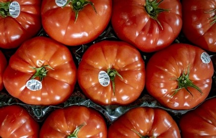Mỹ đạt thỏa thuận thương mại về cà chua với Mexico sau xung đột thuế quan