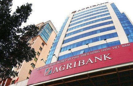 Agribank lãi kỷ lục 7.793 tỷ đồng nửa đầu năm 2019, tăng gấp đôi dù dư nợ cho vay chỉ tăng 5%